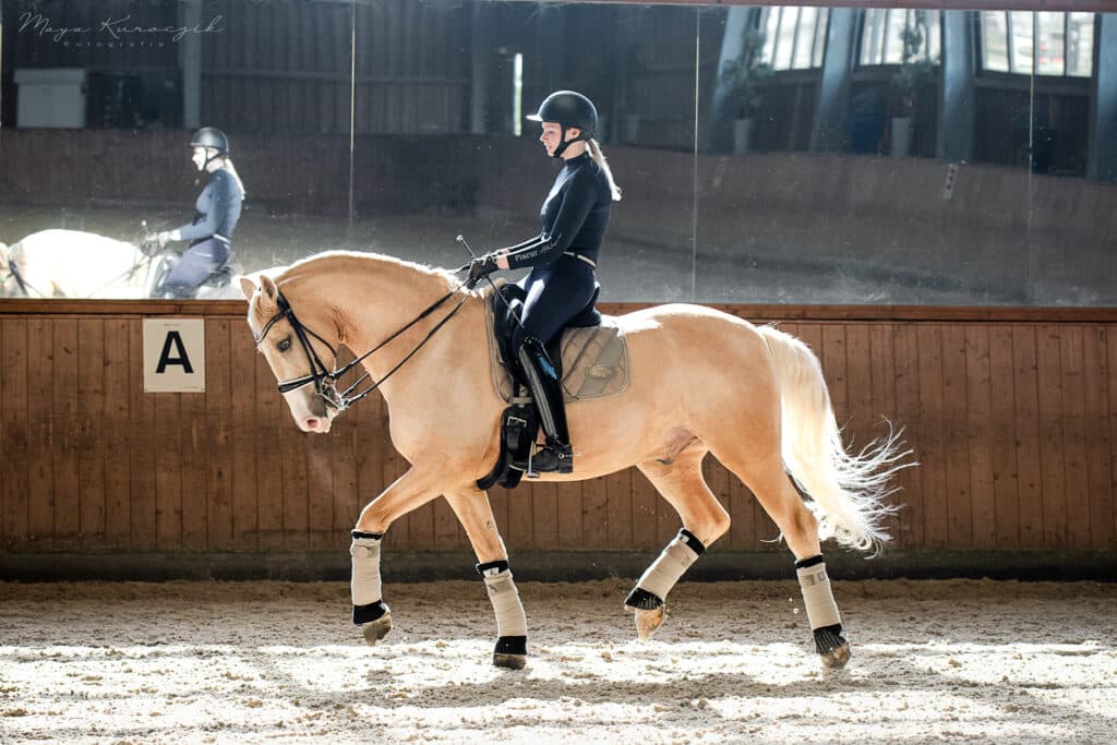 Pferdefotografie, Dressur reitendes Mädchen auf einem beigen Pferd mit Kandarre